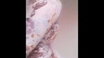 chubby bhabhi masterbating