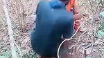 jungle mein le jake bhabhi ko choda