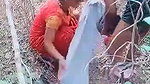jungle mein le jake bhabhi ko choda