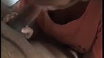 hot girl blowing stranger bf