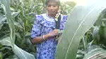 khet me chudai