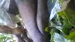 khet me chudai