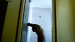 sex in bathroom