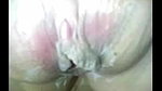 shaved pussy girl fucked