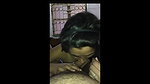 desi blowjob with hindi talk