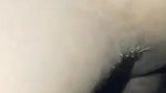 devar bhabhi sex mms
