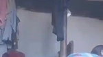 pak girl nude show