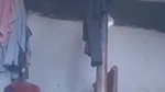 pak girl nude show