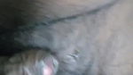 big black nipple hairy pussy girl fucking