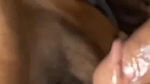 pussy fucking in closeup shot