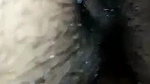 tight pussy girl fucked