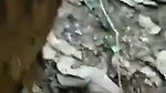 tribal girl riding bf in jungle
