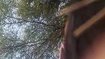sex in open field