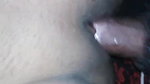 shaved pussy bhabhi fucked