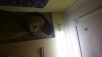 pervert hubby recording nude wife dressing up
