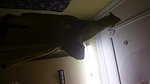 pervert hubby recording nude wife dressing up