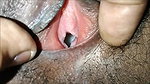 closeup video of pussy