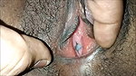 closeup video of pussy
