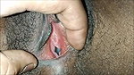 closeup video of pussy
