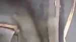 bhabhi ko khet mein lejake choda