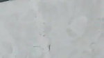 hot girl fucked by bf