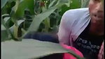 bhutta khet mein bhabhi ke sath masti