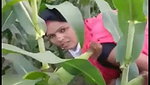 bhutta khet mein bhabhi ke sath masti