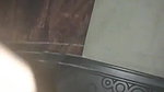 fucked after bj