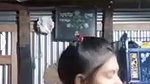 ladki ne vc mein boob dikhayi bf ko