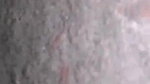 nude sex video of desi girl leaked