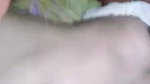 nude sex video of desi girl leaked