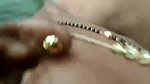 bhabhi having sex with hubby