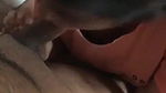 tamil gf blowjob