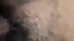Village girl hairy pussy fucking