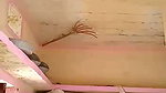 guy fucking bhabhi