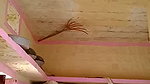 guy fucking bhabhi