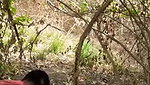 jungle mein gf ke sath chudai