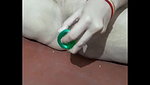 masterbating with bottle