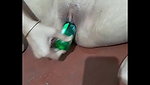 masterbating with bottle