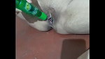 masterbating with bottle