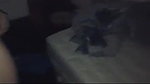 sex with desi call girl