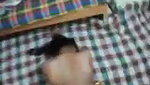 ghodi banake gf ko choda