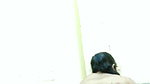 newly married girl riding