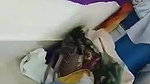 gf fucked after blowjob and smoking