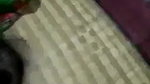 pervert hubby recording sex with wife