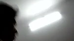 call girl riding client