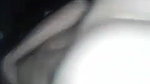 rat ko romantic sex