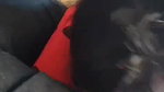 bf ne gf ki boobs chusi