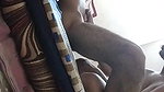 gf blowing bf