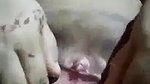 moti ladki ne choot mein ungli kri